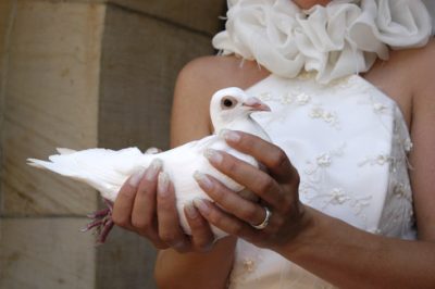 Hochzeitstauben Berlin-Brandenburg™
